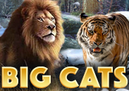 Big Cats