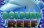 Dolphin Reef