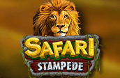 Safari Stampede