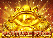 Fortune Frog