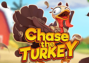 Chase The Turkey