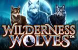 Wilderness Wolves