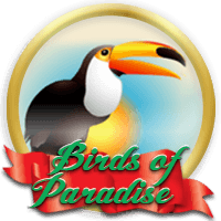 Birds of Paradise 2X comp points