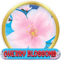 Cherry Blossoms Cherry Blossoms