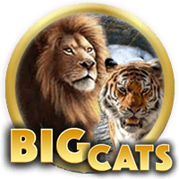 Big Cats