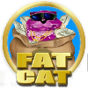 Fat Cat slot game - 25 free spins x 4 redemptions!